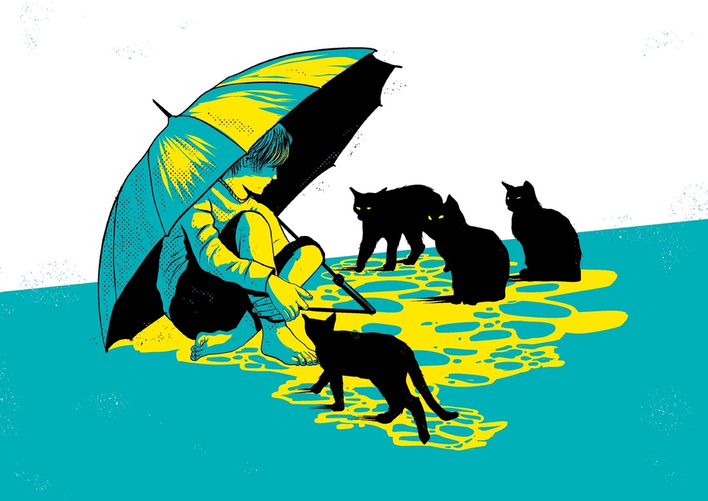 Gatos