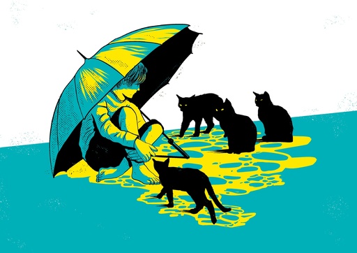 Gatos